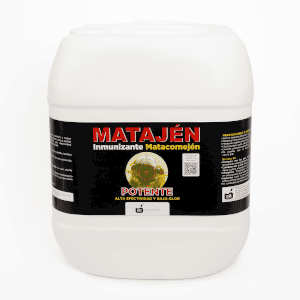 product-presentation